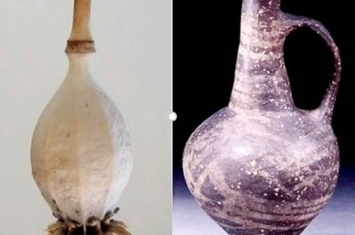 青铜器时代已有鸦片贸易？塞浦路斯逾3000年历史水瓶里面发现含有鸦片硷成分