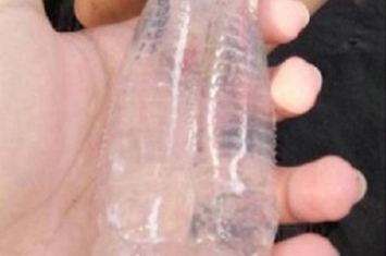 菲律宾海滩发现奇异“塑料瓶”海洋生物“萨尔帕”