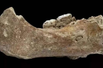 Nature杂志：青藏高原中更新世晚期丹尼索瓦人的下颌骨化石