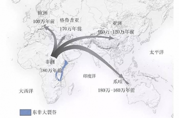 科学杂志：中国发现的主要直立人头骨化石