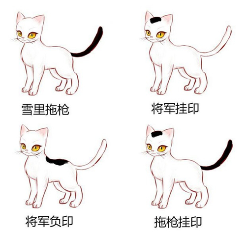 猫咪在古代的名字有哪些