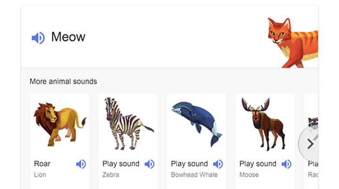 Google隐藏的新功能：只要输入animal noises、animal sounds就能听到动物叫声