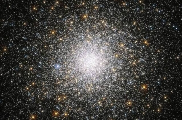 暗物质的秘密可能存在被称作“d-星六夸克”（d-star hexaquark）的粒子中