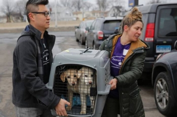 “国际人道协会”由韩国狗肉农场救出的46只狗狗抵达美国纽约