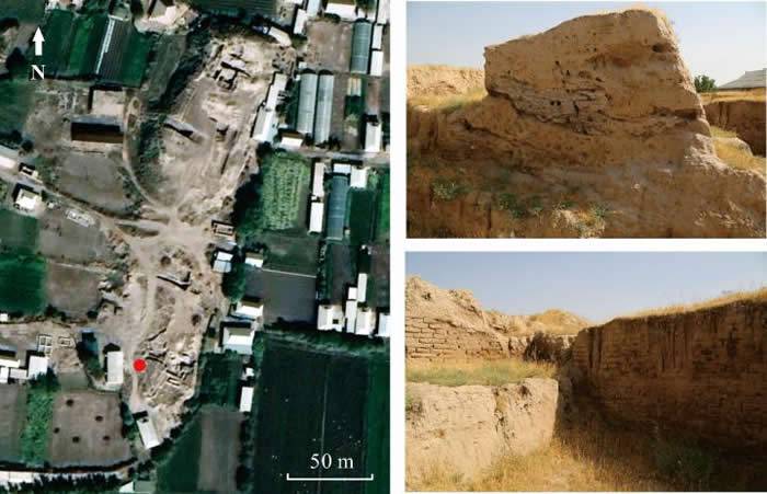中亚乌兹别克斯坦卡尔查延遗址首次发现古栽培水稻