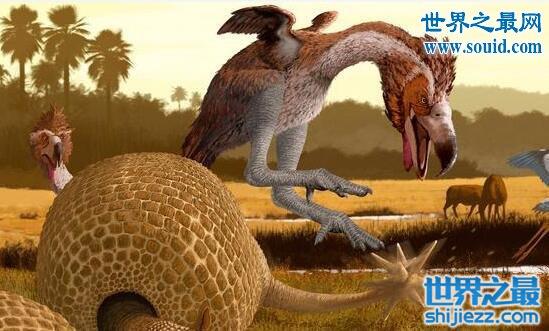 巨型肉食性鸟类骇鸟，是霸王龙的后代