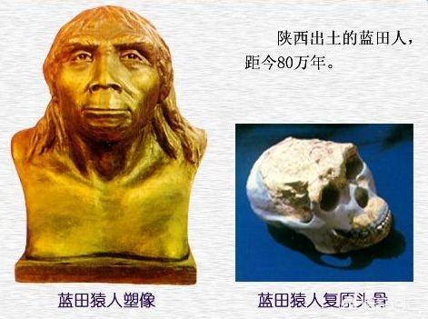 人类怎样演变而来的(人类的历史有大约300万年)