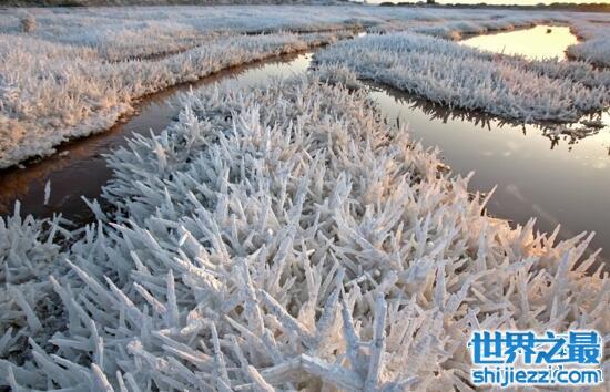 三大中国死海在哪里，四川的大英死海此生必去