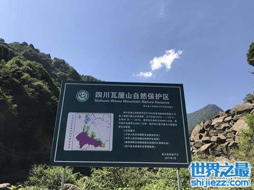 四川旅游去哪里好？瓦屋山值得你一去！