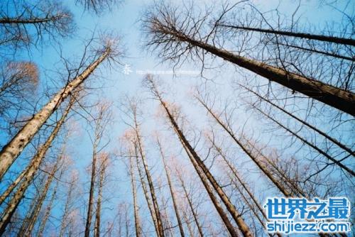 寄蜉蝣于天地，渺沧海之一粟是一种什么心态？作者竟然还是个吃货！ ...