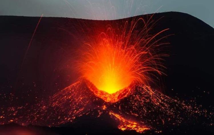 火山底下有没有生物,生活在火山下面的生物