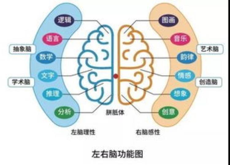 如何教孩子像科学家一样思考问题,教儿童学会思考