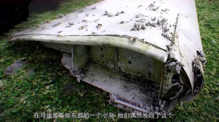 马航mh370空难幕后黑手,揭秘马航mh370失踪之谜