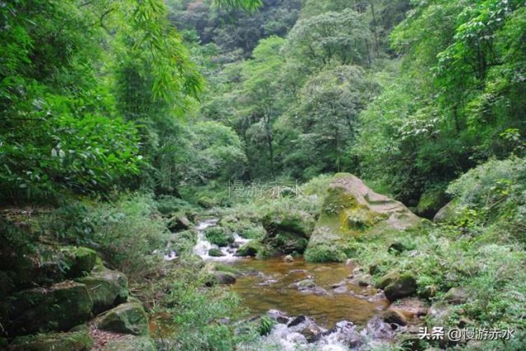 走进贵州赤水神秘无人区惊见圆圈状遗迹何人何时留下有何用