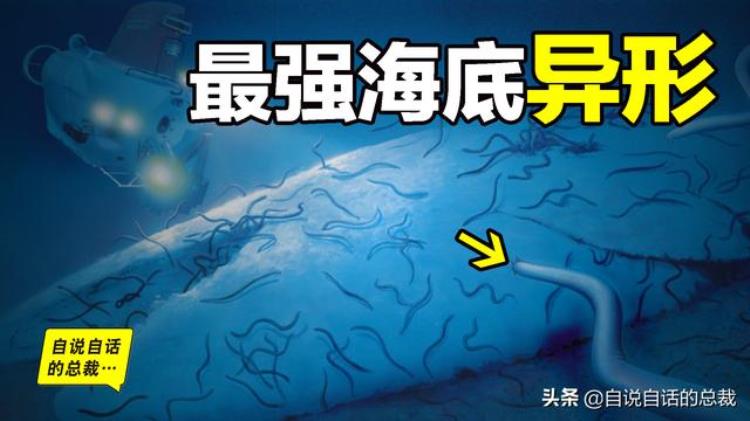 海底异形生物,海底最强异形