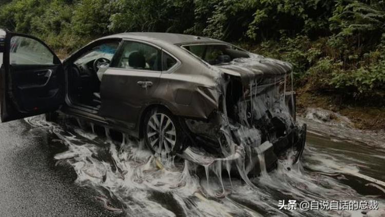 海底异形生物,海底最强异形