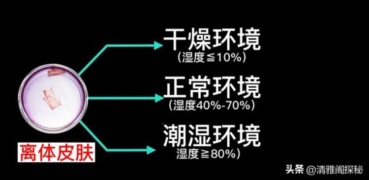 人体最诡异的器官是什么「人体最诡异的器官科学家都无法解释其原理还藏着针灸的奥秘」