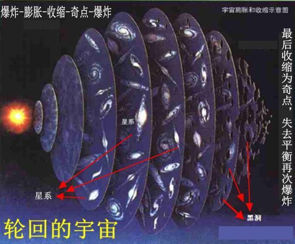 “天价蟹”靠吃椰子而闻名 最佳铒料椰子肉