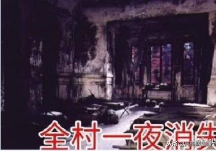 1987年陕西夜狸猫事件 了解下,陕西夜狸猫事件真相