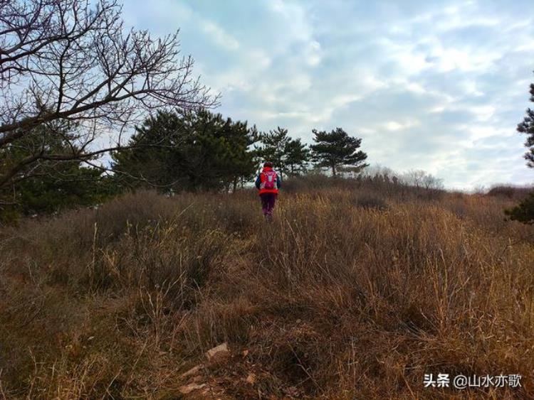 误入石家庄井陉黄土洼发现千风寨漫山韭菜花大峡谷心生敬畏