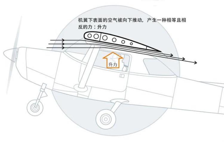 飞机为什么能飞起来直到今天科学家仍然没有答案,今天飞机来回飞怎么回事