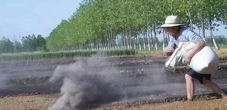 草木灰种菜有什么好处(刚割的韭菜可以放草木灰怎么放)