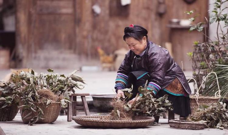 揭秘占里村换花草之谜传承数百年可以决定胎儿的性别