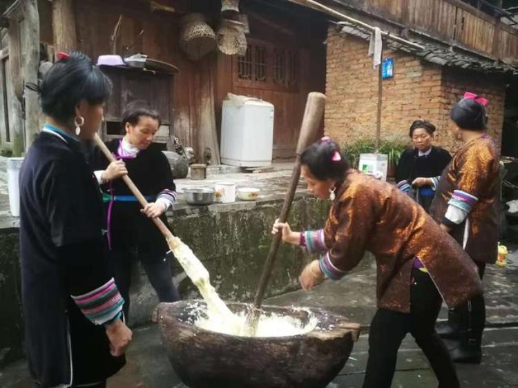 揭秘占里村换花草之谜传承数百年可以决定胎儿的性别