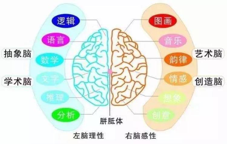 辽宁卫视老梁说世界谈右脑开发的重要性