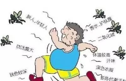 蚊子一般喜欢咬什么人(蚊子就是蚊子)