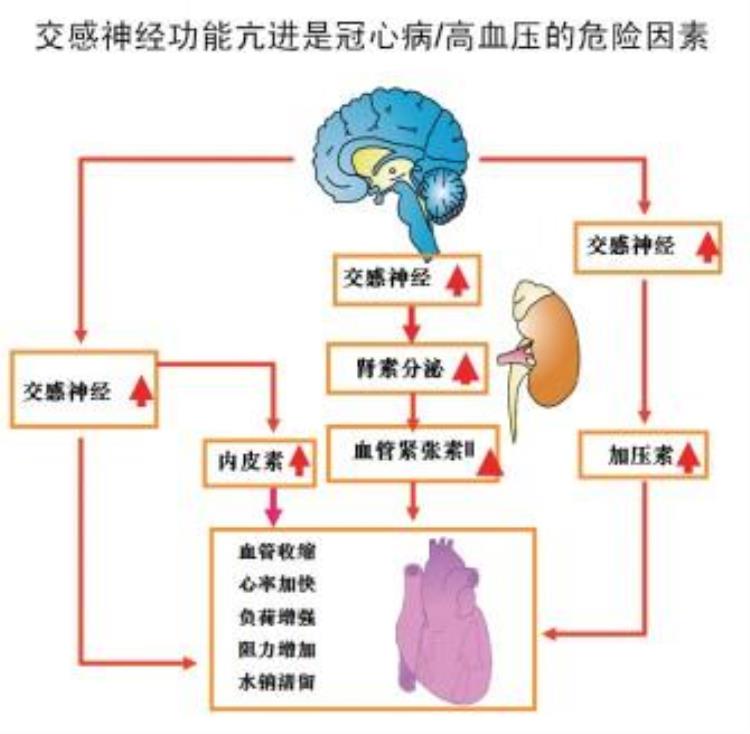 领鸡蛋骗局,花1元领10个鸡蛋骗局