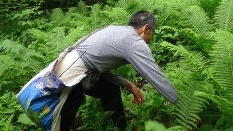 太行山神秘山洞,太行山里的隐藏洞穴