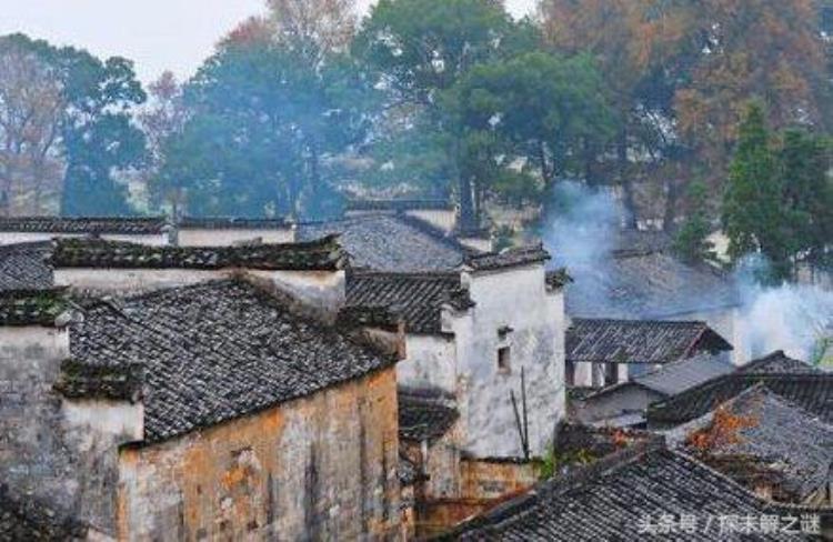 山东东迷魂阵村,河里下迷魂阵违法吗