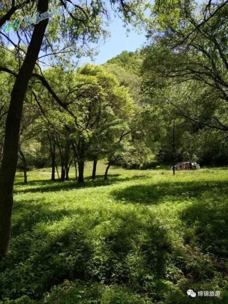 张家口沽源县夏天热吗,沽源夏天有什么好玩的地方