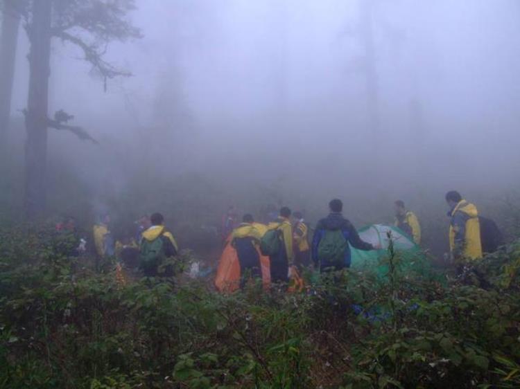 四川最恐怖的山(世界最危险的原始森林)