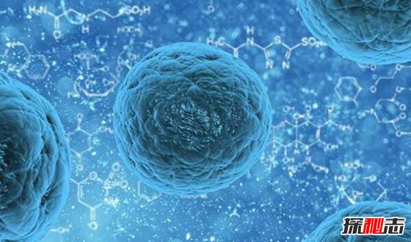 宇宙大小已被科学家证实?人类最伟大的十个科学发现