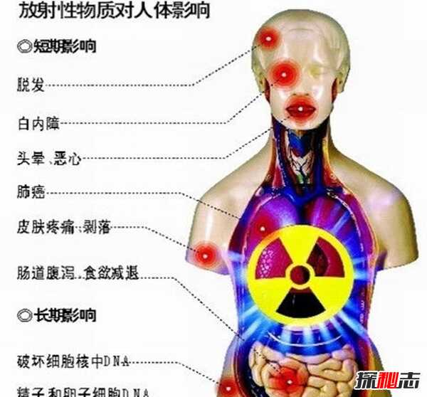 人骨为什么那么可怕?人体骨骼的十大疯狂事实