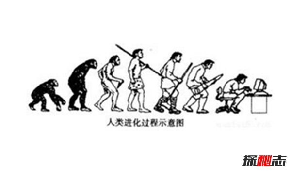 尼安德特人为何灭绝？智人吃掉了尼安德特人吗