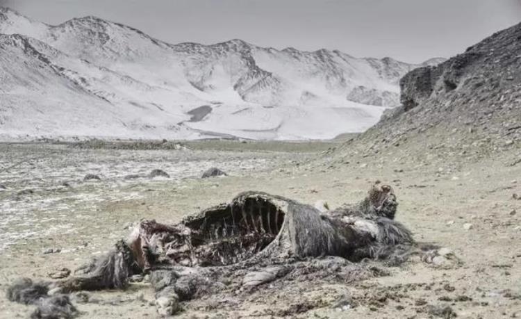 世界十大危险禁地,人类永远无法踏足的地球十大禁区