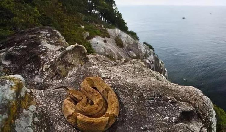 世界十大危险禁地,人类永远无法踏足的地球十大禁区