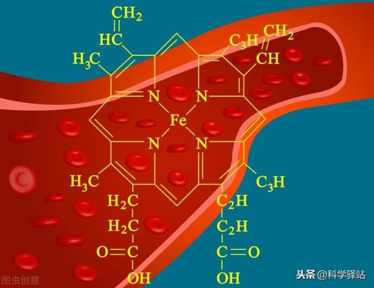 为什么鲸鱼可以下潜2000米,潜艇为什么没鲸鱼下潜得深