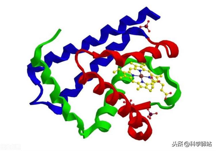 为什么鲸鱼可以下潜2000米,潜艇为什么没鲸鱼下潜得深