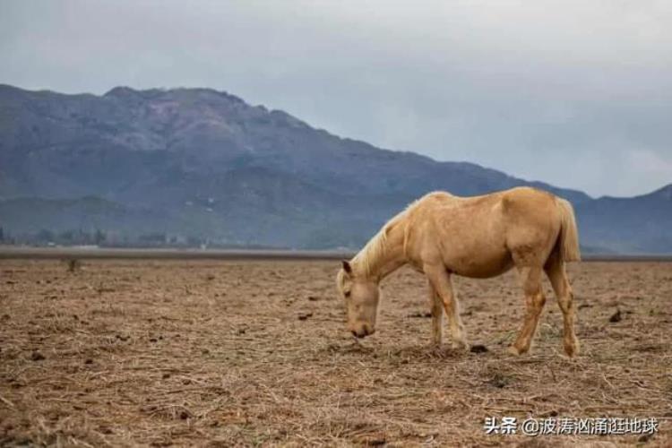 世界上最大的睾丸德国女色魔连续杀11人用45张照片带你看世界