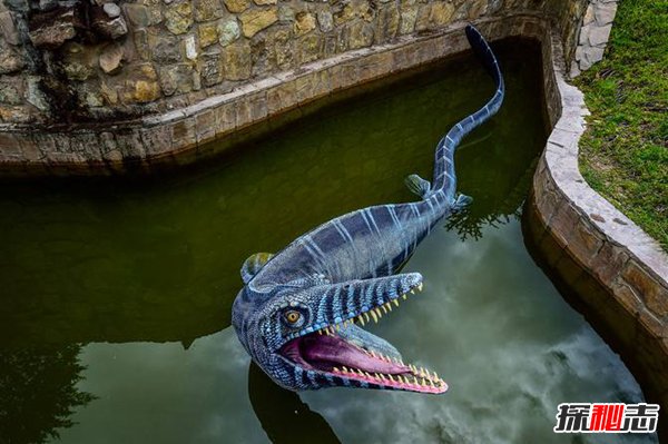 什么生物可以打过沧龙？沧龙的天敌是谁