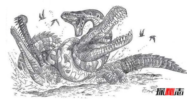 远古恐怖生物森林鳄 已灭绝的可怕生物（强大咬合力）