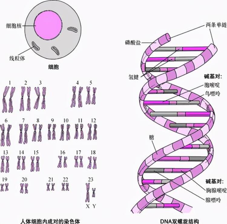 卢旺达一婴儿头部三角形,刚出生的宝宝为什么跟外星人很像