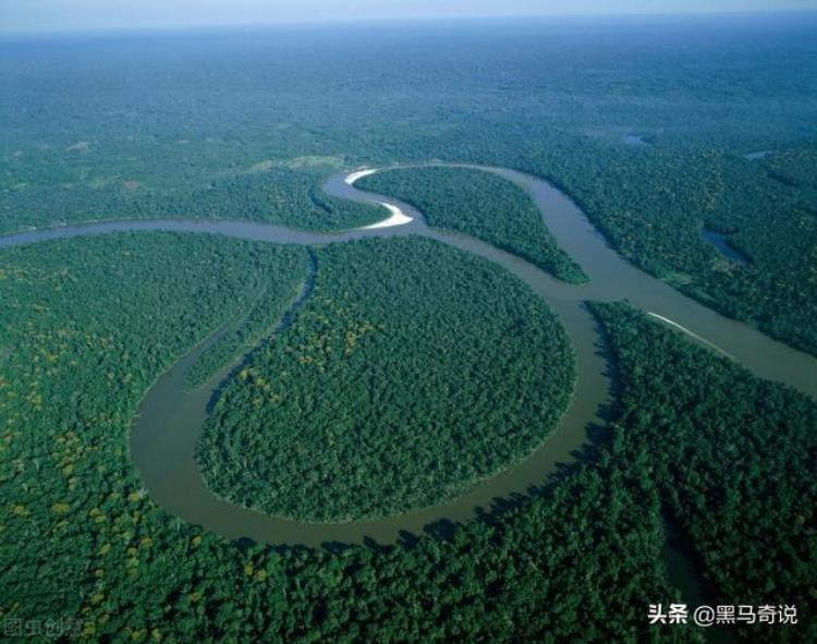 食人鱼那么可怕为什么没有称霸亚马逊河,亚马逊河十大恐怖生物