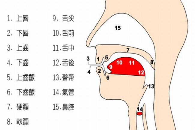 48个英语音标如何快速牢记?教你音标记忆顺口溜