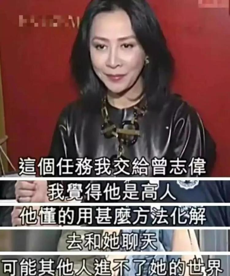 蓝洁瑛事件真相,蓝洁瑛谜案真相大白完整版