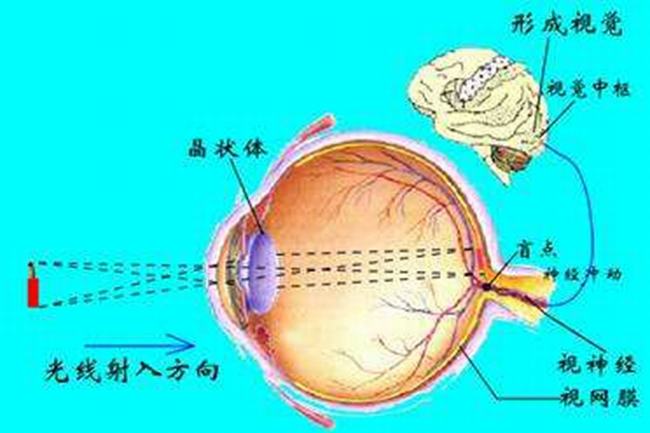 艾宾浩斯错觉是什么?产生艾宾浩斯错觉的原因